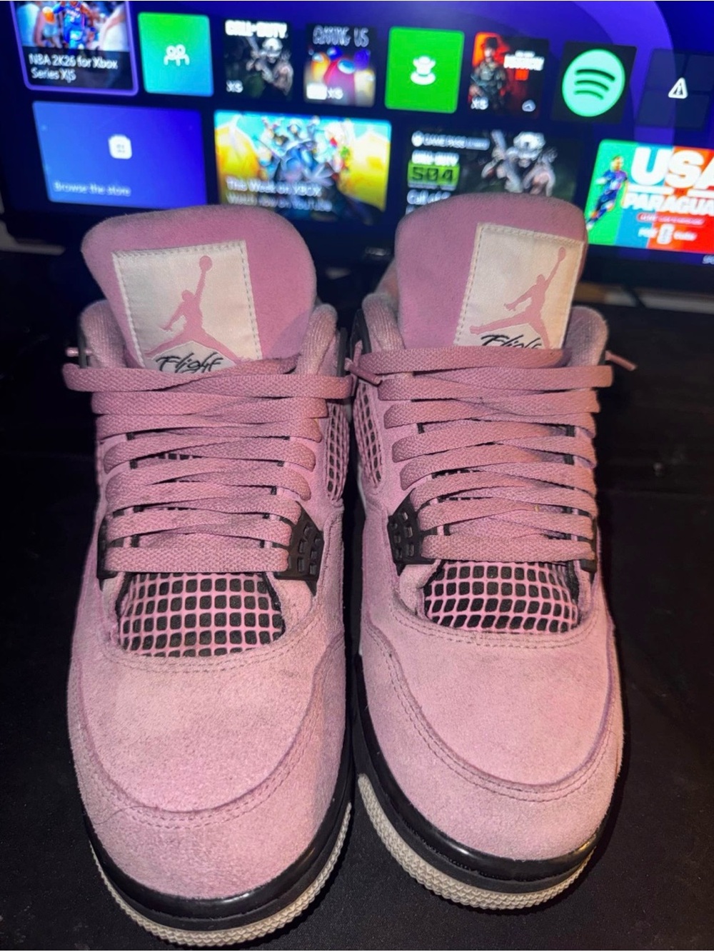 Jordan Women’s Pink Suede Sneakers